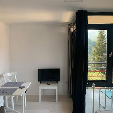Gemuetliches Einzimmer-Apartment 33 Bad Wildbad Eksteriør billede