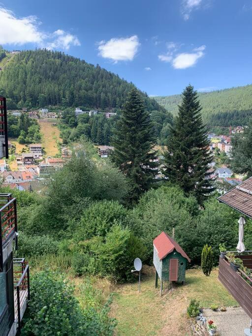 Gemuetliches Einzimmer-Apartment 33 Bad Wildbad Eksteriør billede