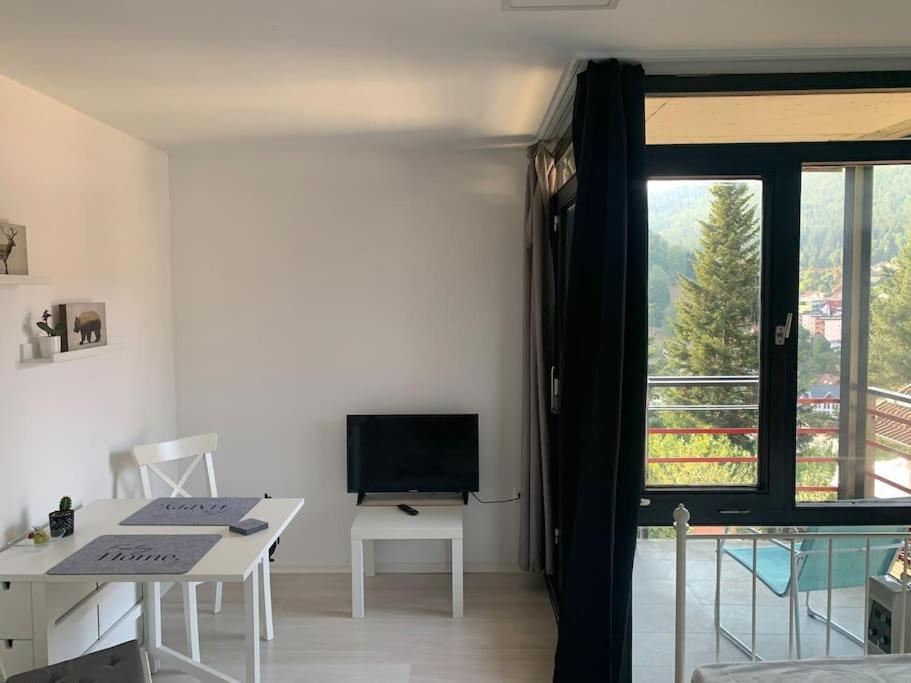 Gemuetliches Einzimmer-Apartment 33 Bad Wildbad Eksteriør billede