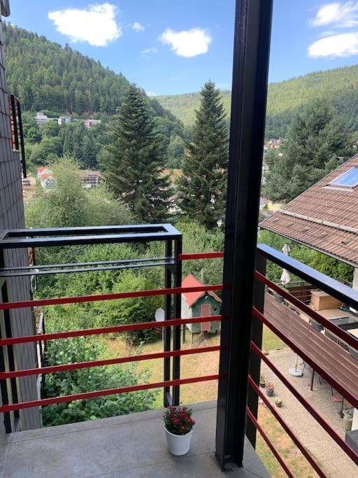 Gemuetliches Einzimmer-Apartment 33 Bad Wildbad Eksteriør billede