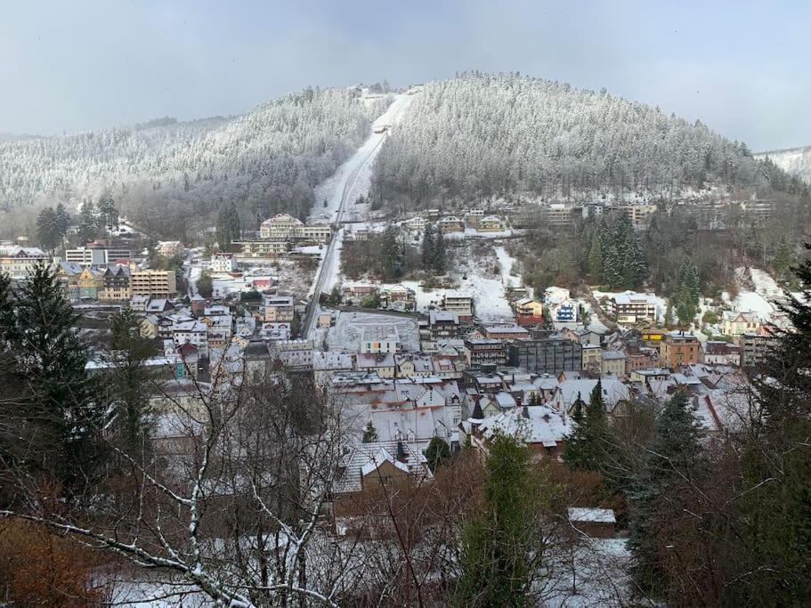 Gemuetliches Einzimmer-Apartment 33 Bad Wildbad Eksteriør billede